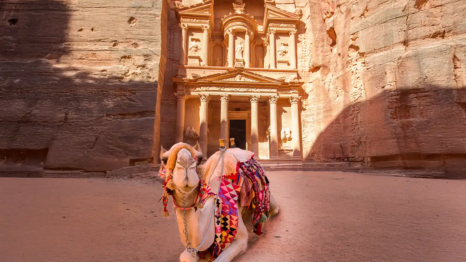 A came rests on the ground outside of the Petra Monastery in this Jordan Family Travel Guide