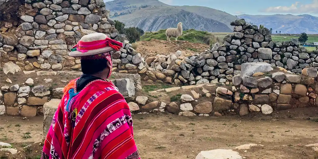 An Indigenous Quechua man looks through a ruined wall in the city of Chavin at an elegant llama in the distance.