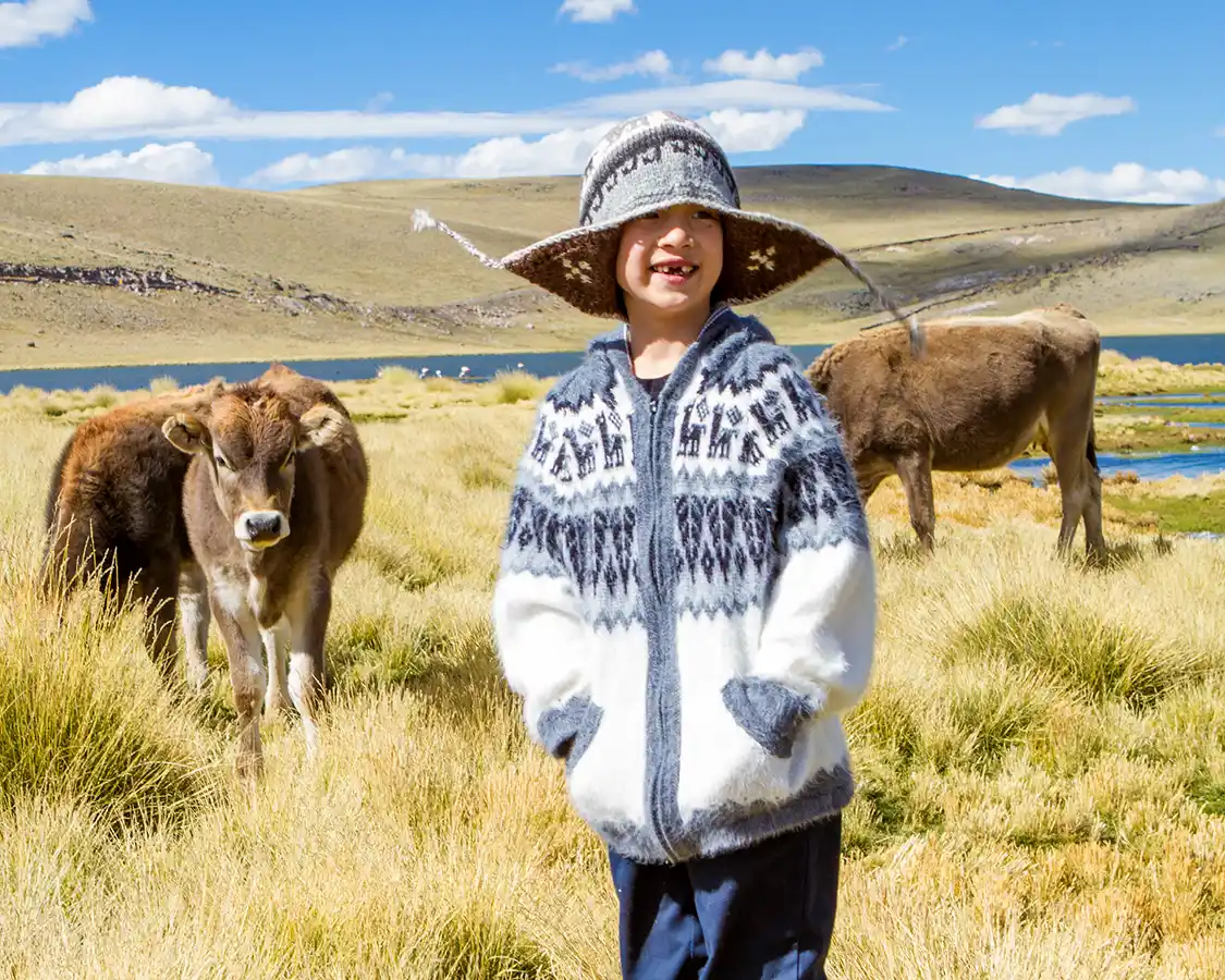 Young Boy walking through a field of cows on the Peruvian Altiplano