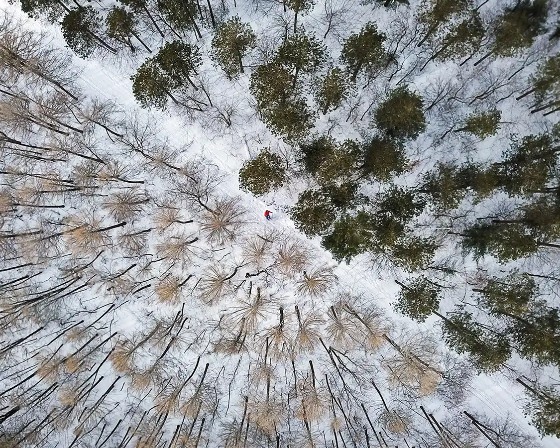 Aerial view of a man snowshoeing through Durham Woods along the Trans Canada Trail
