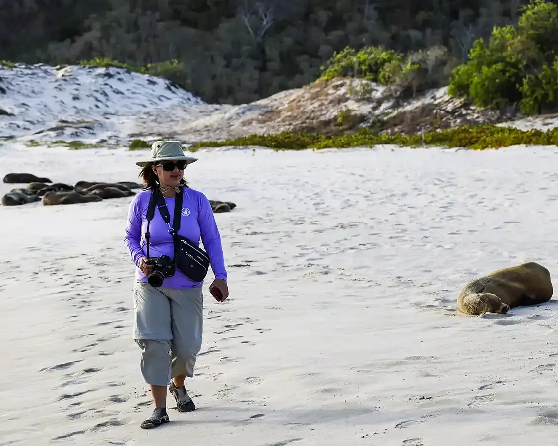 A woman wearing a rash guard and light travel pants walks past a sea lion in Ecuador