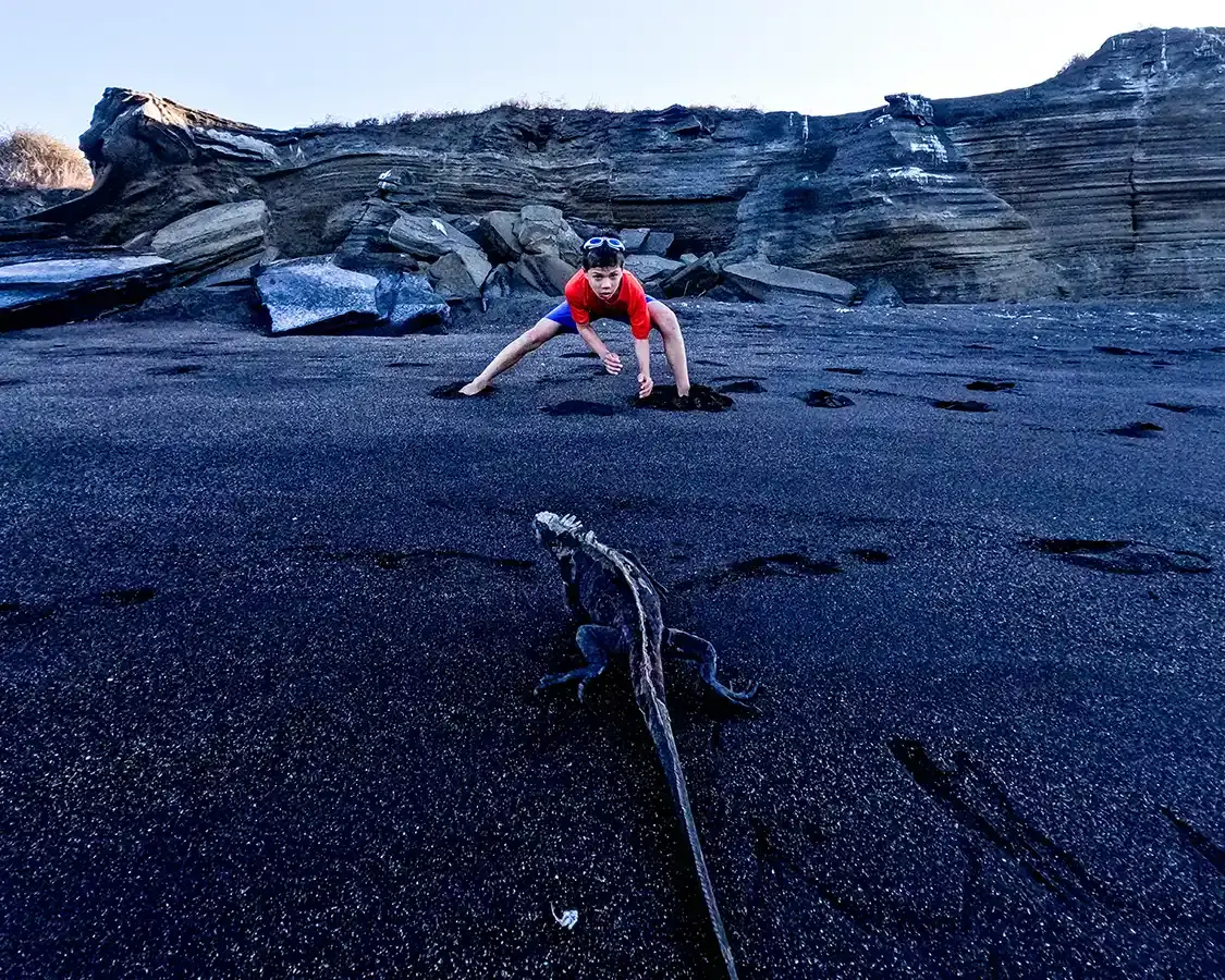 A young boy has a stand off with a marine iguana on a black sand beach in the Galapagos Islands
