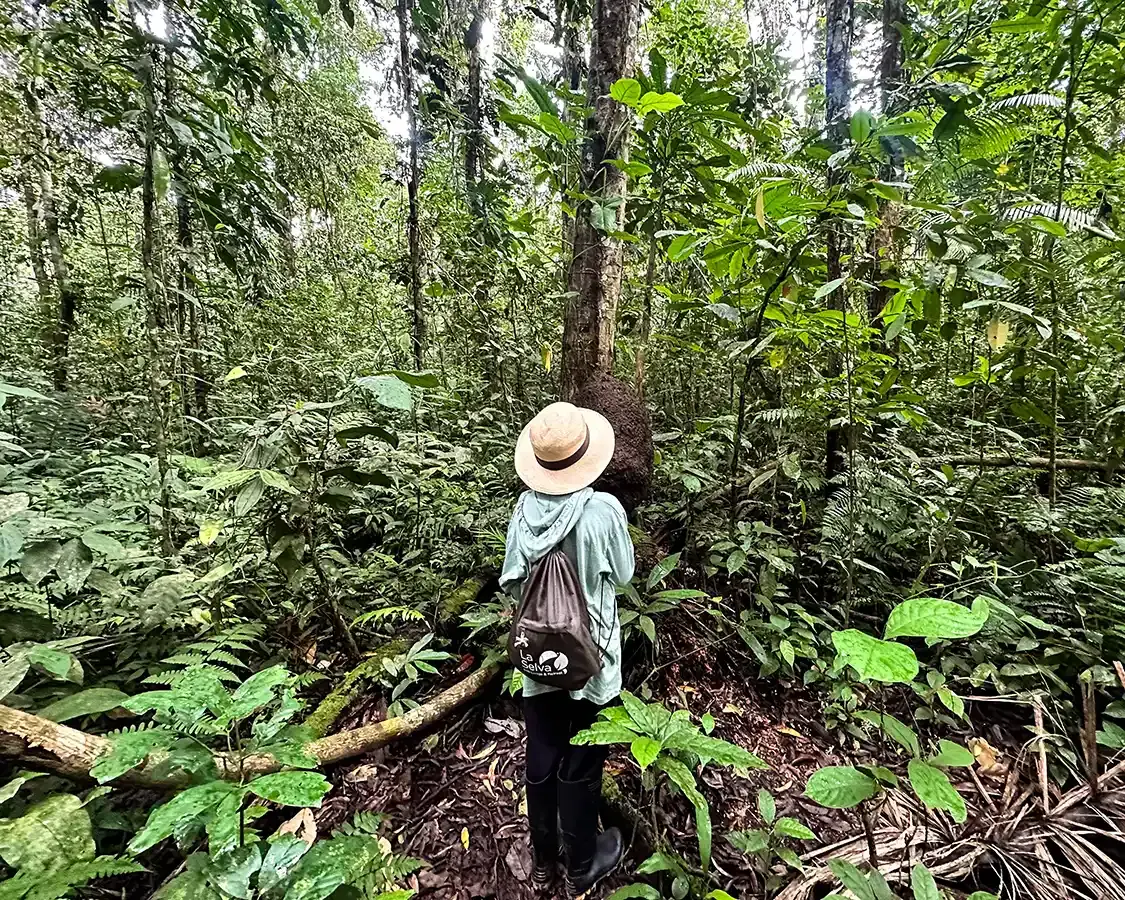 Boy wearing a packable backpack and hat explores the Amazon rainforest in Ecuador