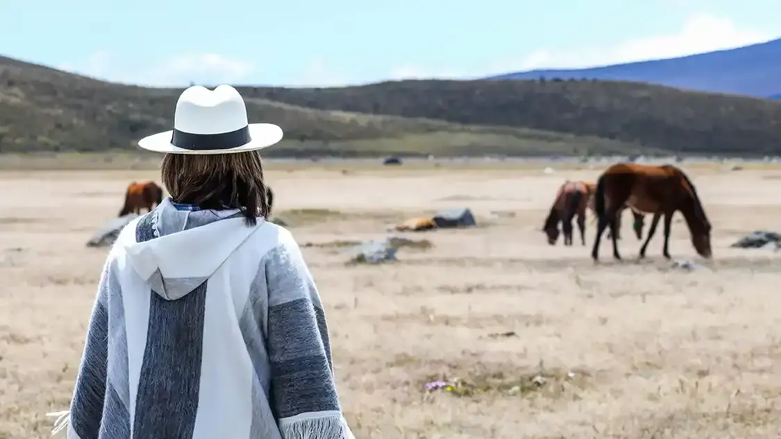 A woman plans her Ecuador family packing list while gazing out at wild horses in Cotopaxi National Park