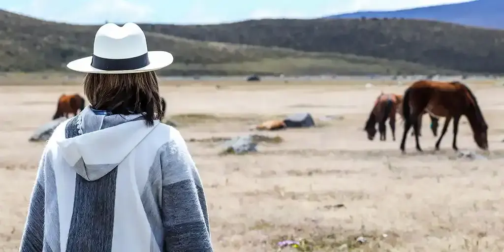A woman plans her Ecuador family packing list while gazing out at wild horses in Cotopaxi National Park