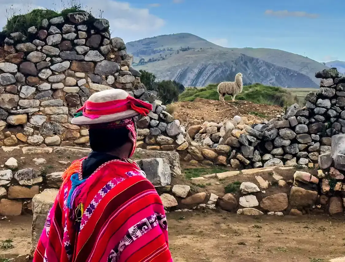 Quechua man looks at a llama on the Royal Inca Road in Peru