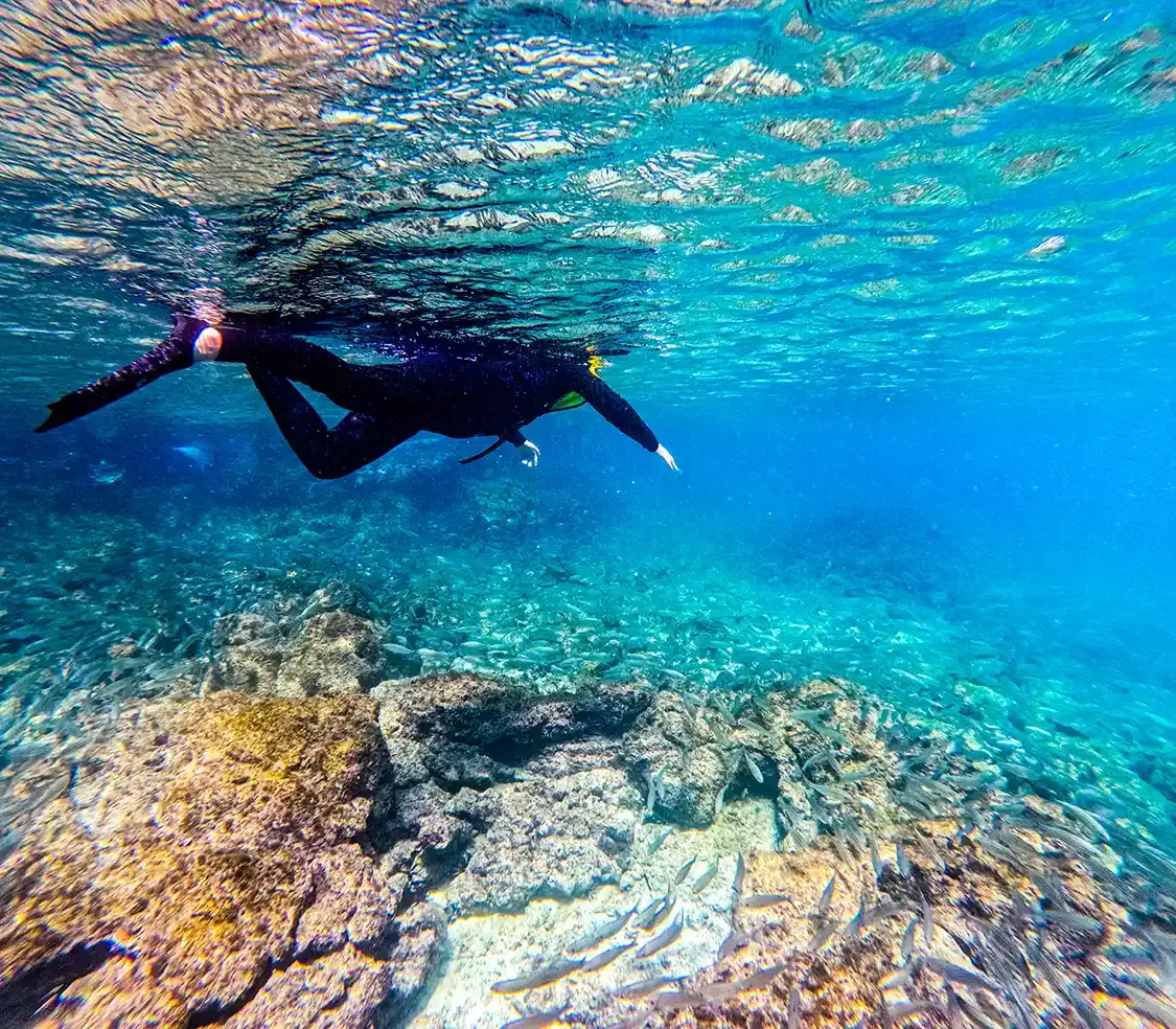 Teenager snorkeling in the Galapagos Islands