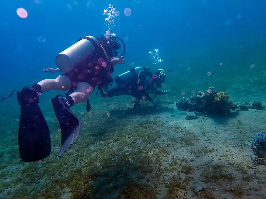 A couple SCUBA diving in the Red Sea near Aqaba Jordan