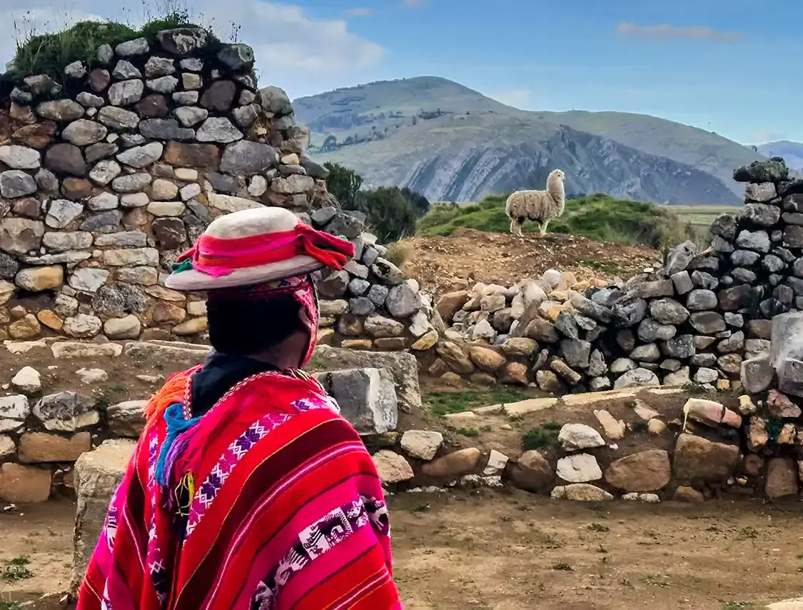 An Indigenous man looks at a llama in the Chavin Ruins in the Peruvian Andes