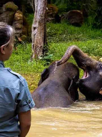 Ethical Animal Experiences in Koh Samui Thailand