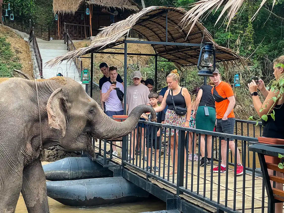 Tourists feed an elephant at Kwai River Jungle Lodge in Thailand