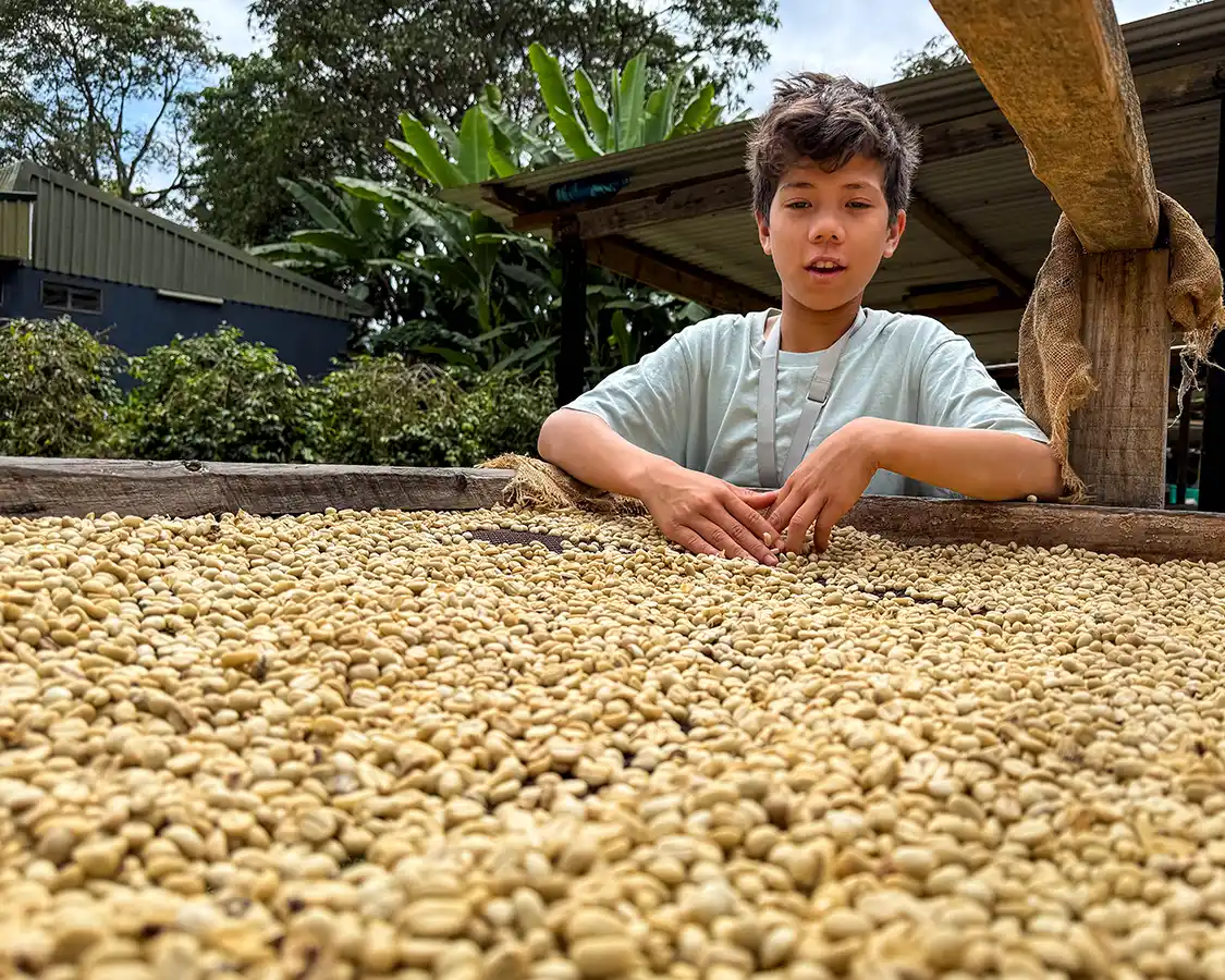 A boy sorts through coffee beans at an Arusha coffee plantation