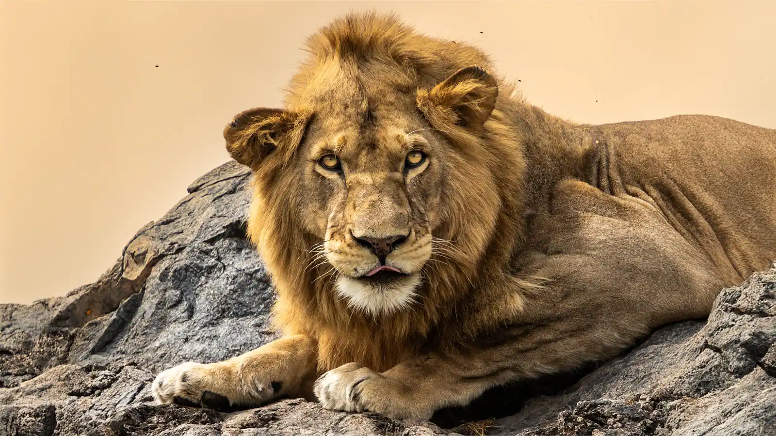 Best Places to Visit in Tanzania for Families