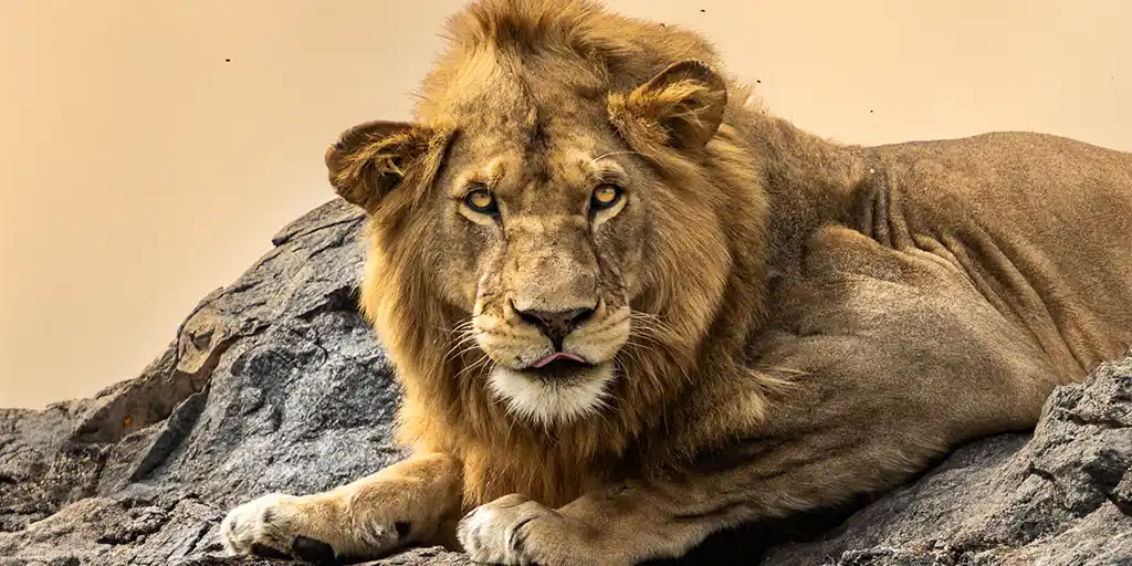 Best Places to Visit in Tanzania for Families