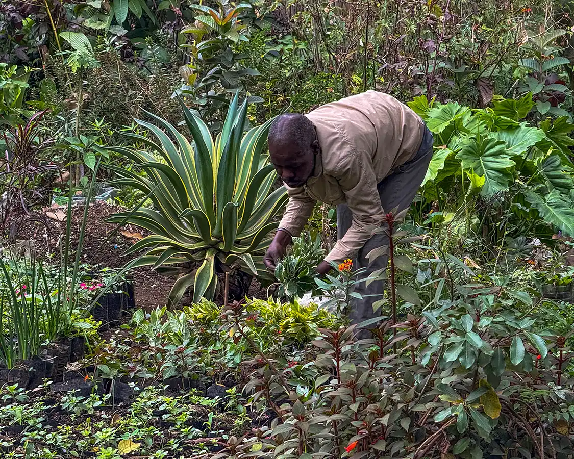 Man working at the Arusha Flower Market