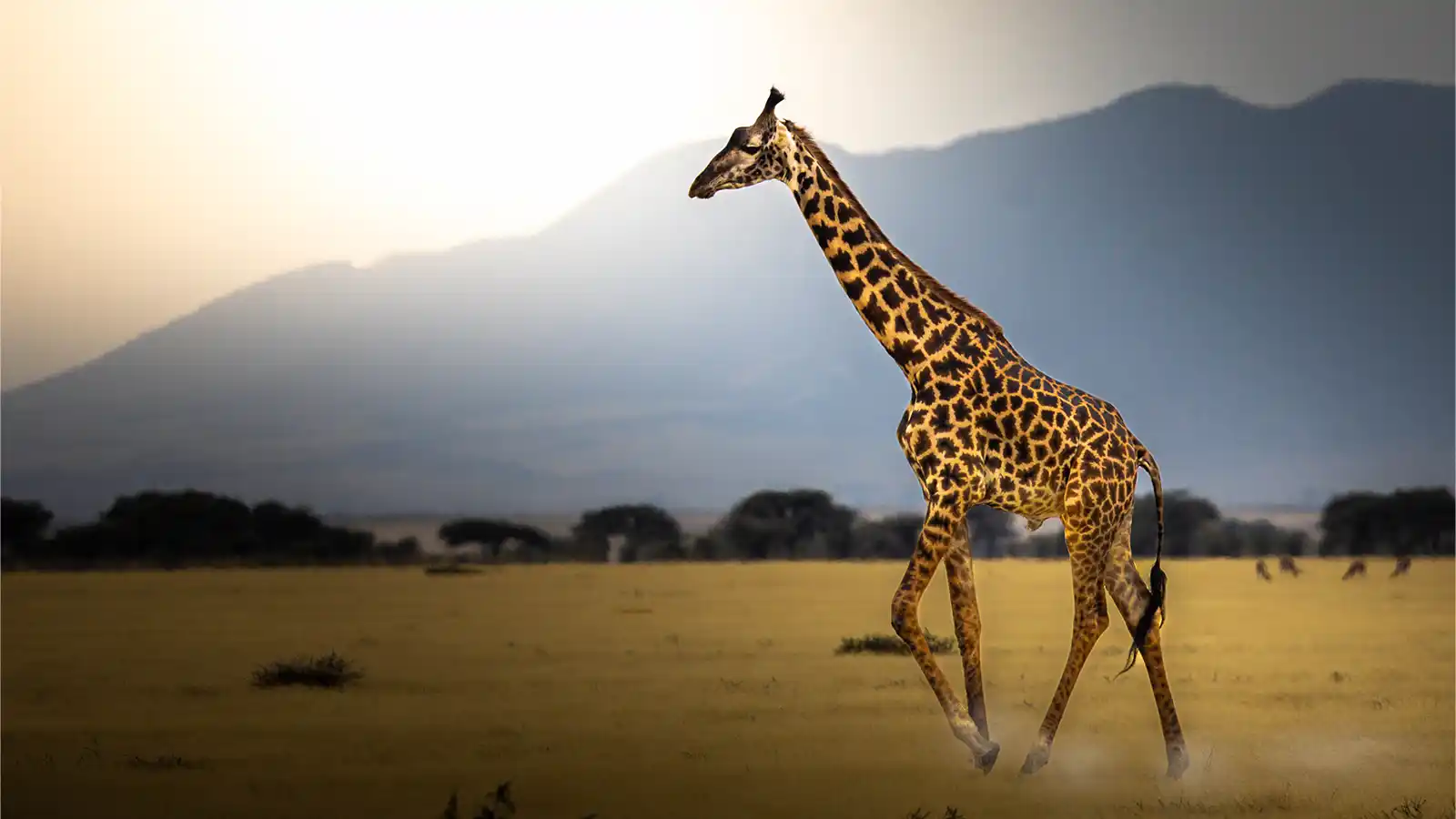 Serengeti-Family-Safari