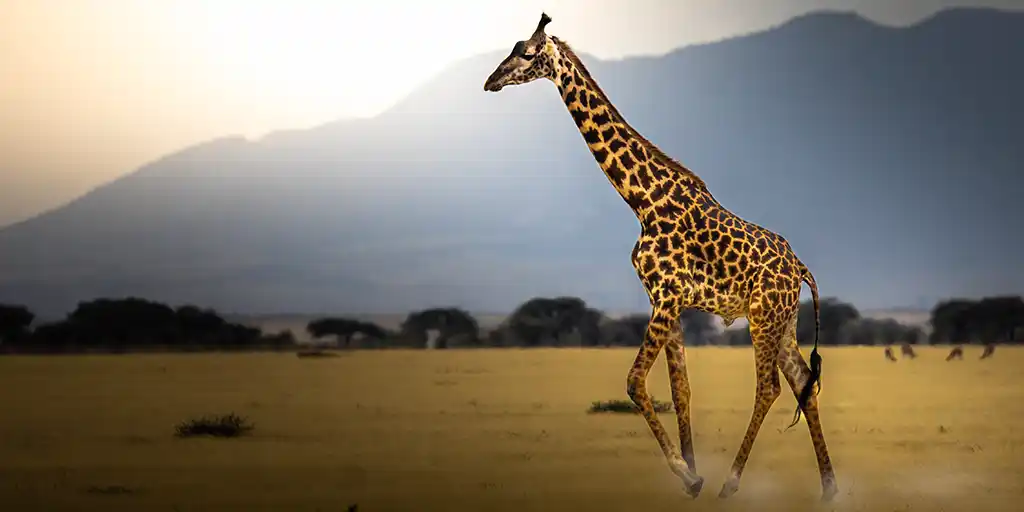 Serengeti-Family-Safari