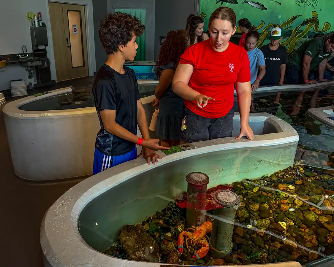 Dylan Wagar learns about lobsters at the Shediac Homarus Centre