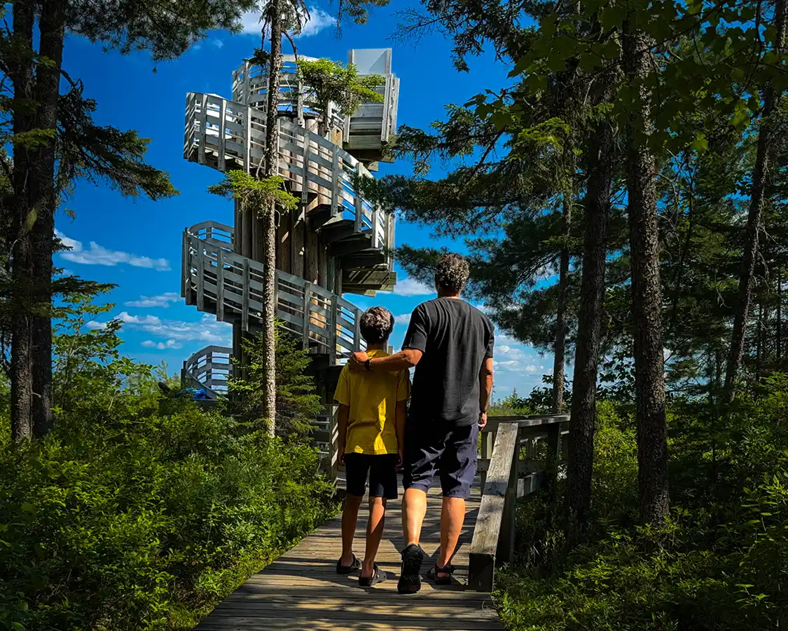 Kevin Wagar and his son walk toward the lookout tower on the Kouchibouguac National Park Bog Trail