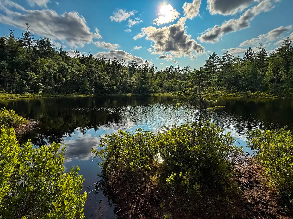 Small pond surrounded by forest along the Crowbar Lake Trails