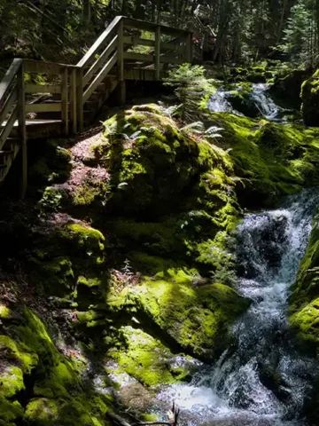 Fundy National Park Guide