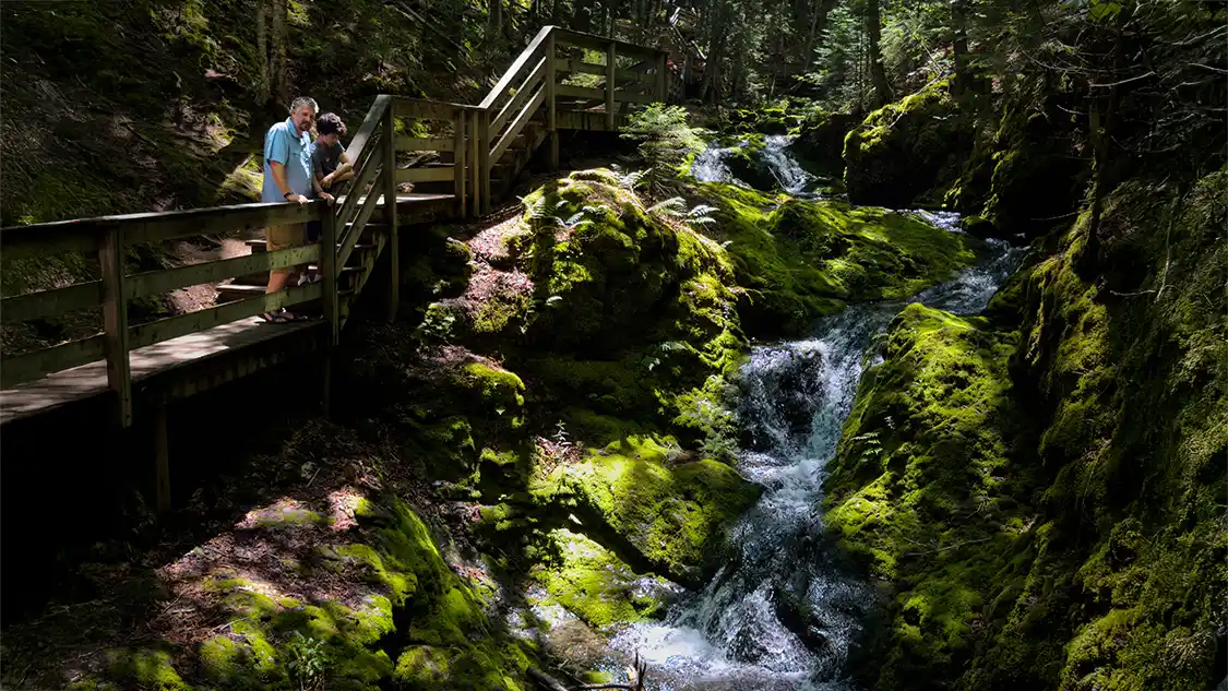 Fundy National Park Guide