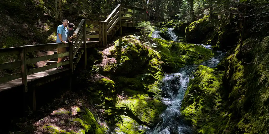 Fundy National Park Guide