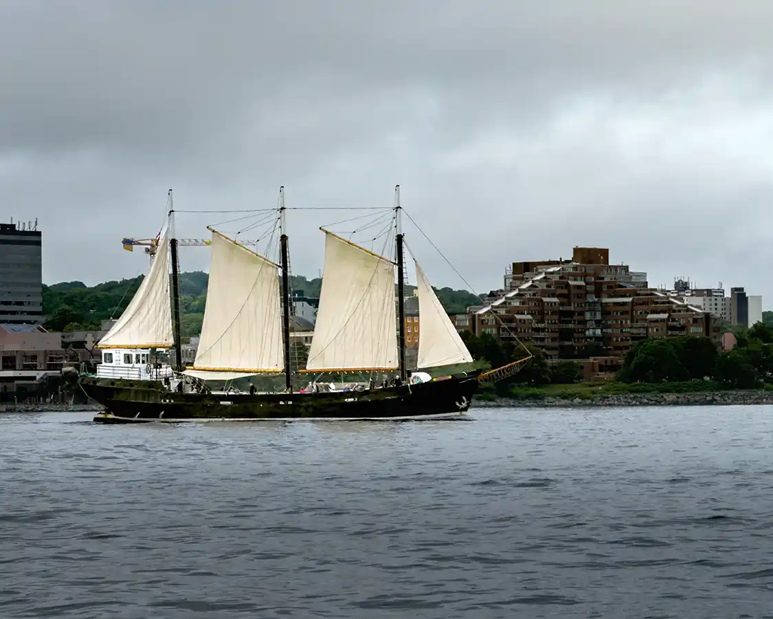 Schooner sails through the Halifax Harbor