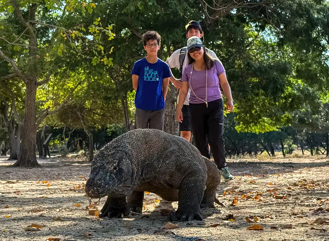 Hiking with Komodo Dragons in Indonesia