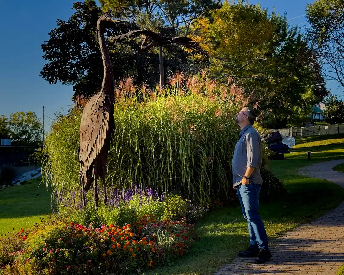 Kevin Wagar looks up at a metal sculpture of a Heron at the Gananoque Confederation Park